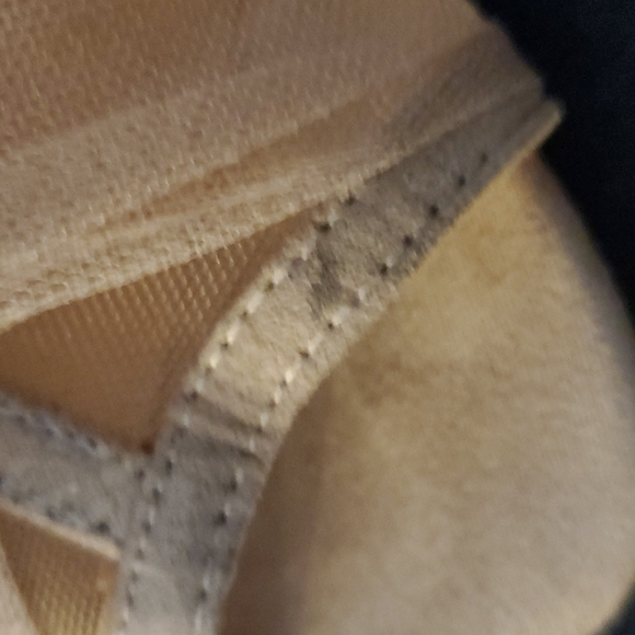 Nets - Picture 9 of 11